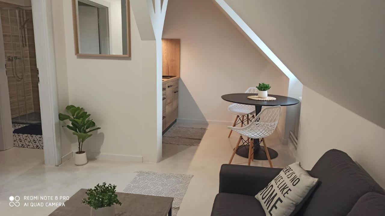 U Zlate Hvezdy Apartman Jungmann Apartment ลิโตเมริเซ ภายนอก รูปภาพ